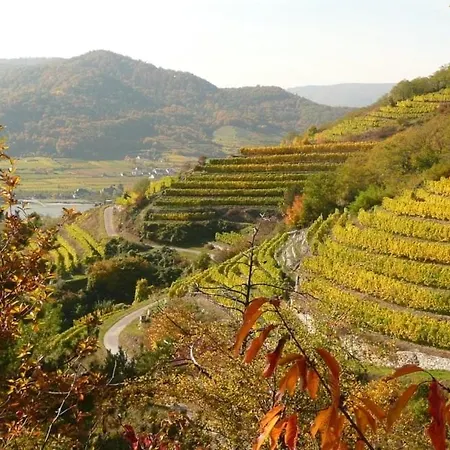 Fleur Star Wachau Grossing (Liezen)