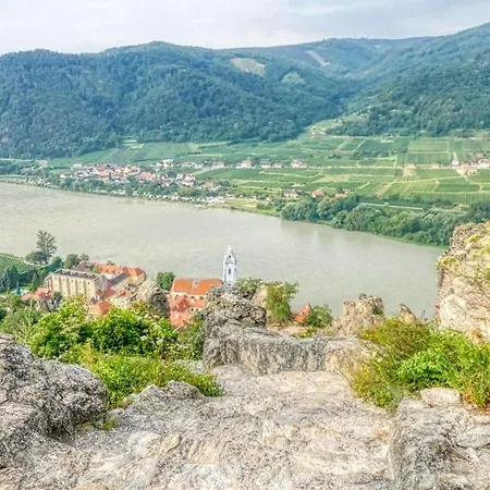 Fleur Star Wachau Grossing (Liezen)