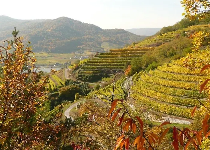 Fleur Star Wachau Grossing (Liezen)